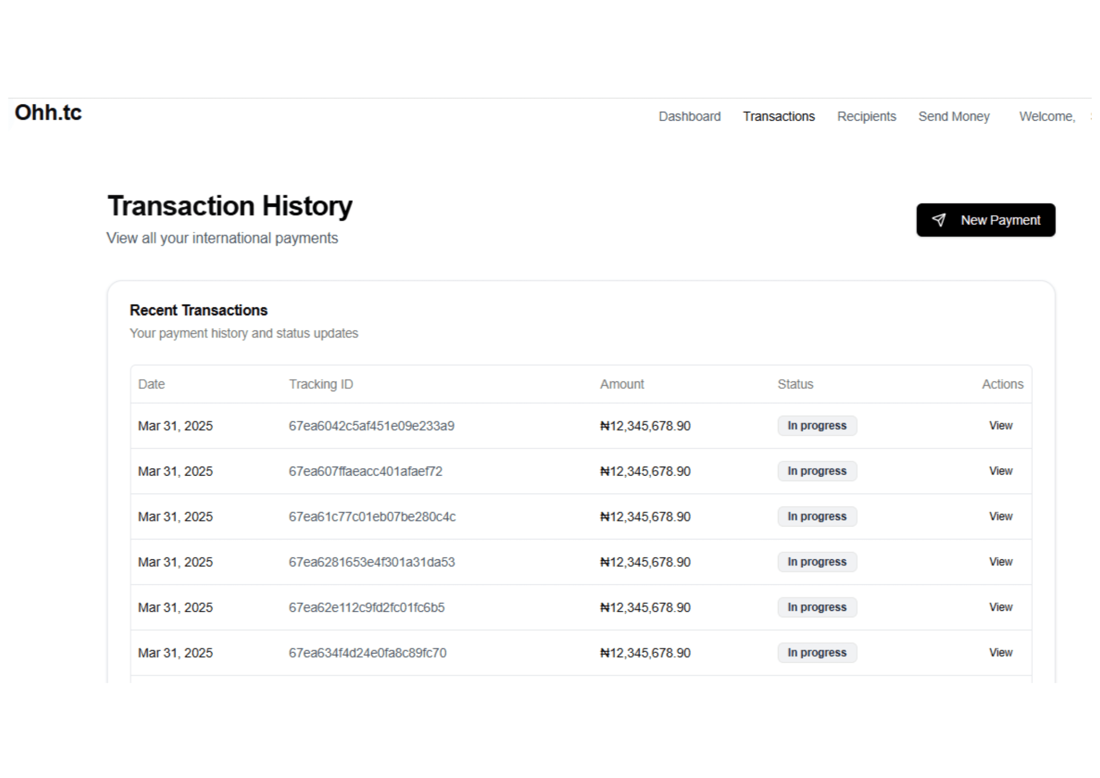 Yellow Green 3D Mockup Potato Chips Poster (11)